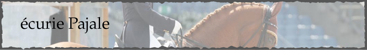 écurie Pajale 